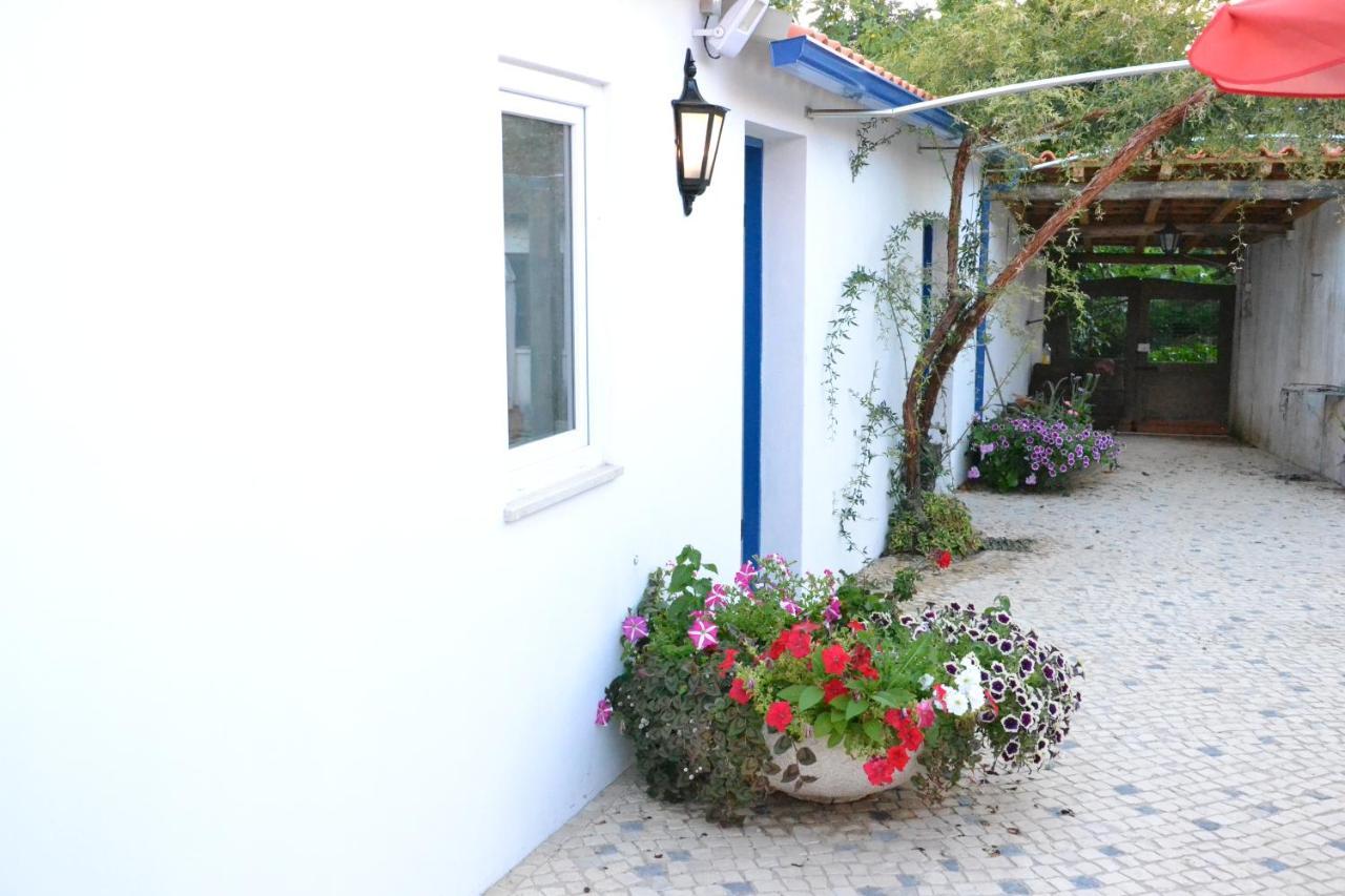 Quinta D'Avo Amelia Bed & Breakfast Alquerubim Exterior foto