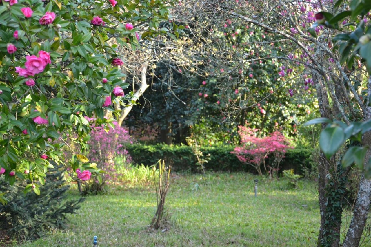 Quinta D'Avo Amelia Bed & Breakfast Alquerubim Exterior foto
