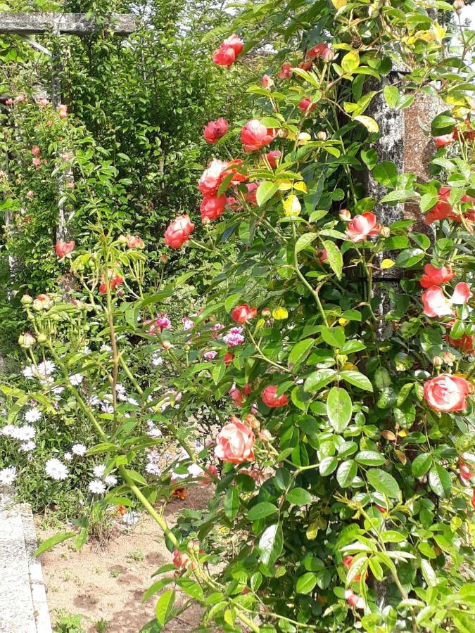 Quinta D'Avo Amelia Bed & Breakfast Alquerubim Exterior foto