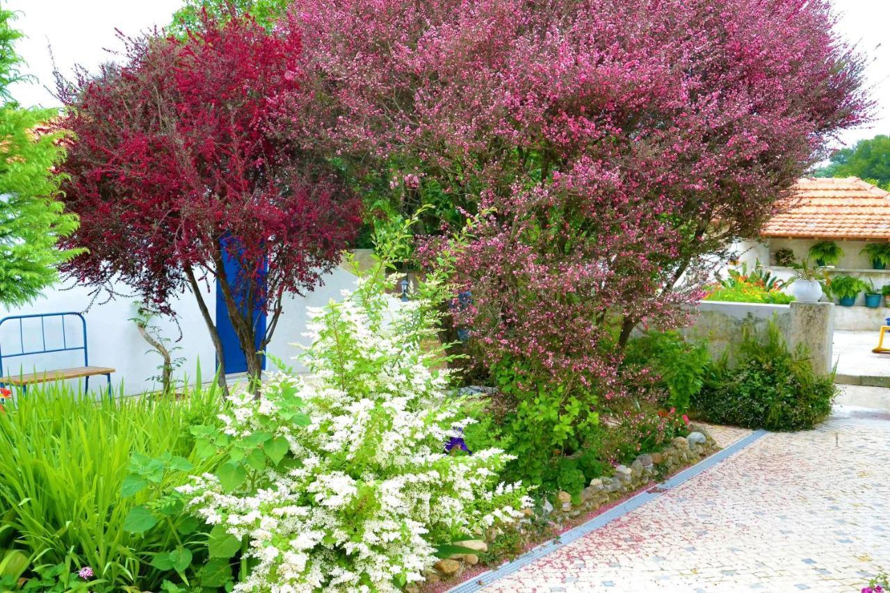 Quinta D'Avo Amelia Bed & Breakfast Alquerubim Exterior foto